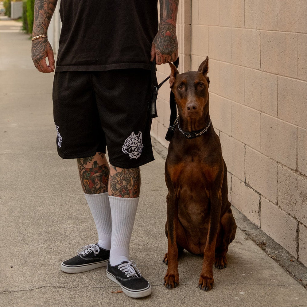 Dawg Mesh Shorts